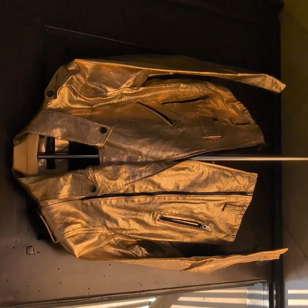 Zara Gold Leather Jacket